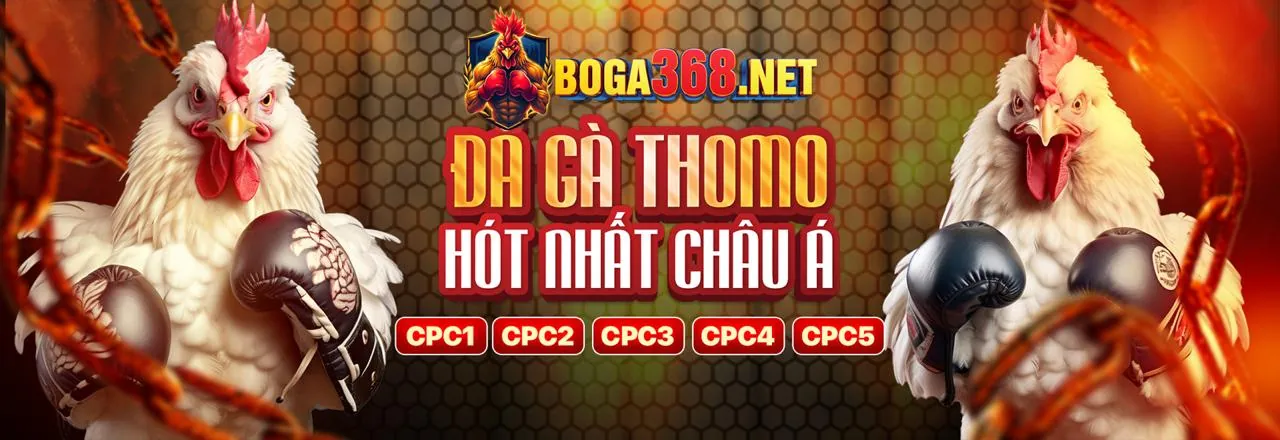 Hình ảnh banner MB66B9 chính thức